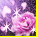 Skill Icon